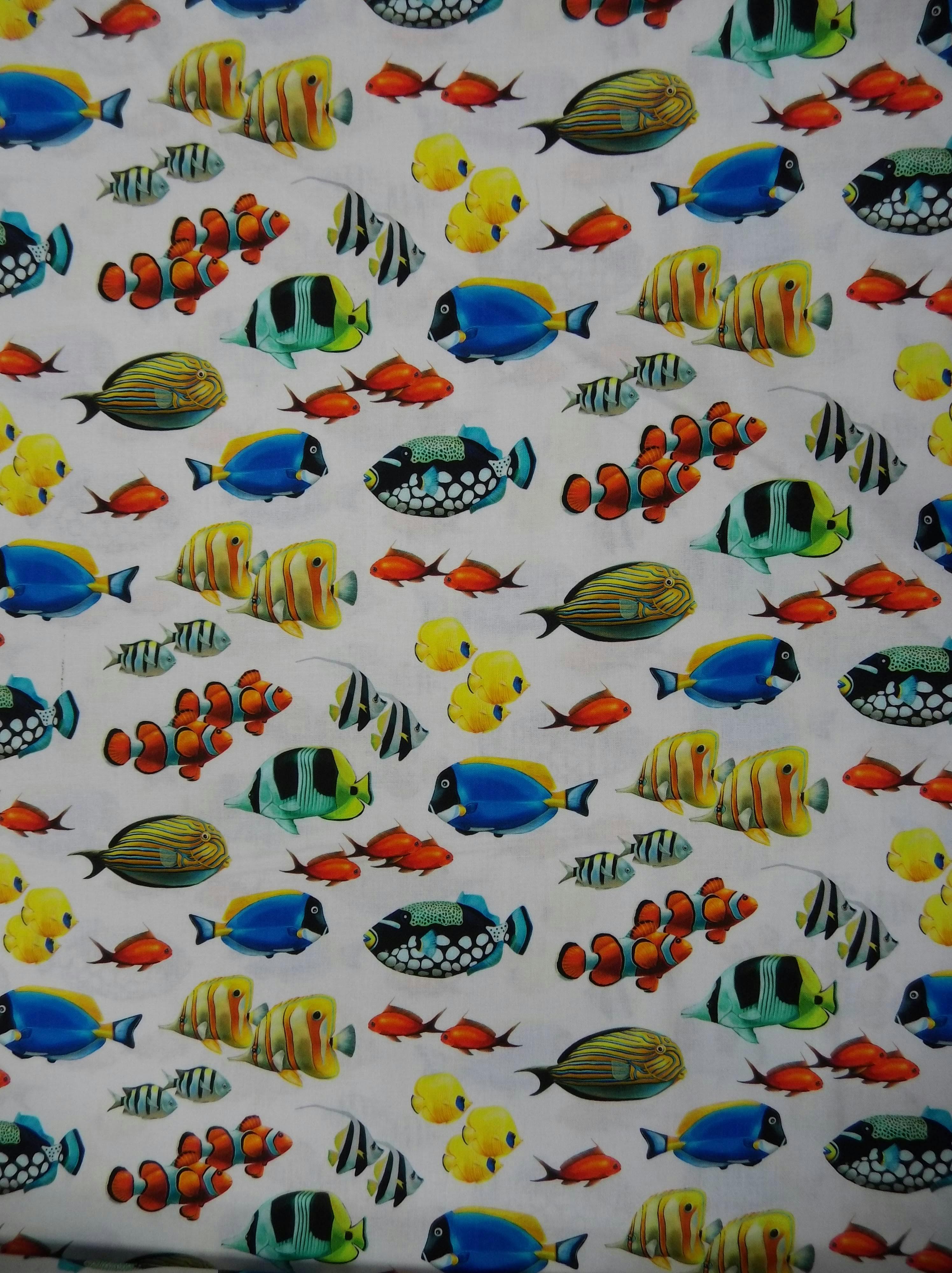 Coral Reef by Northcott