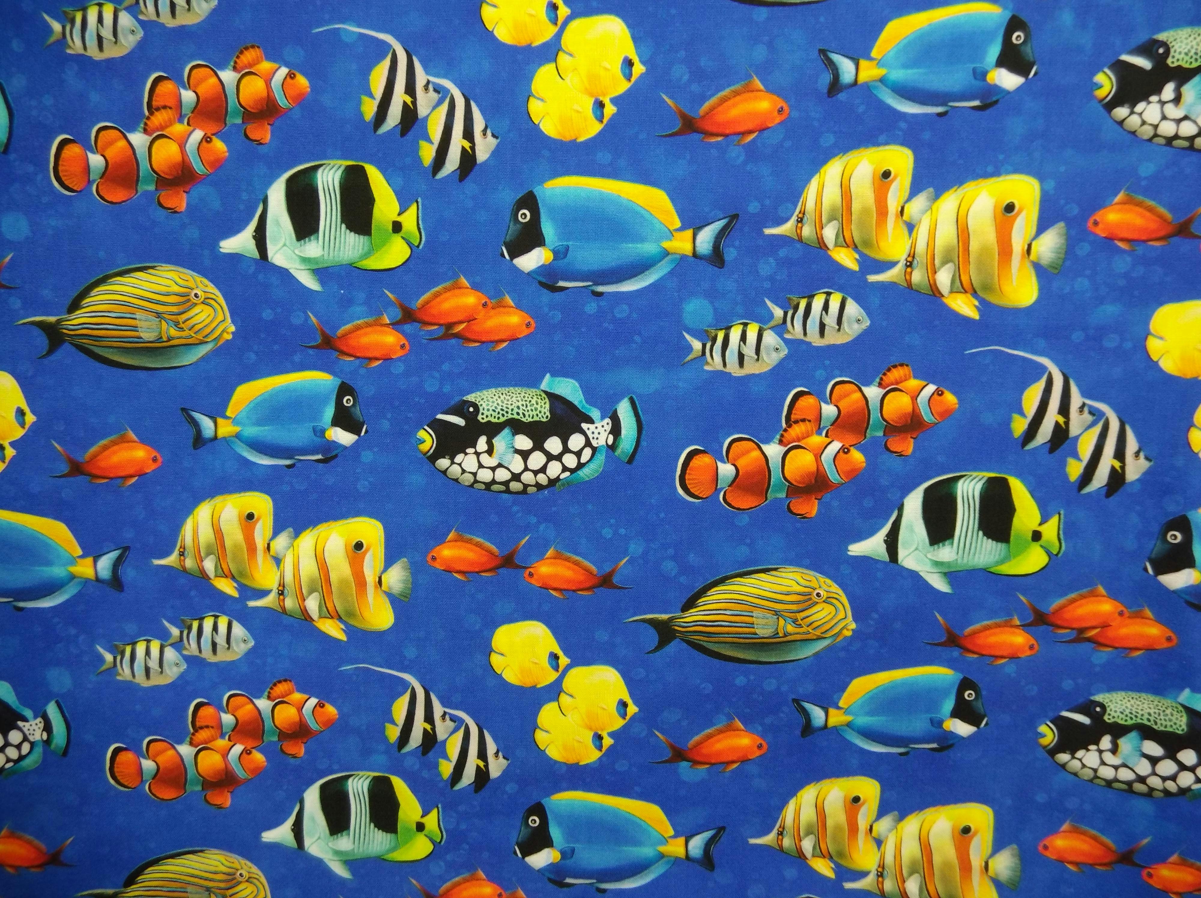 Coral Reef by Northcott