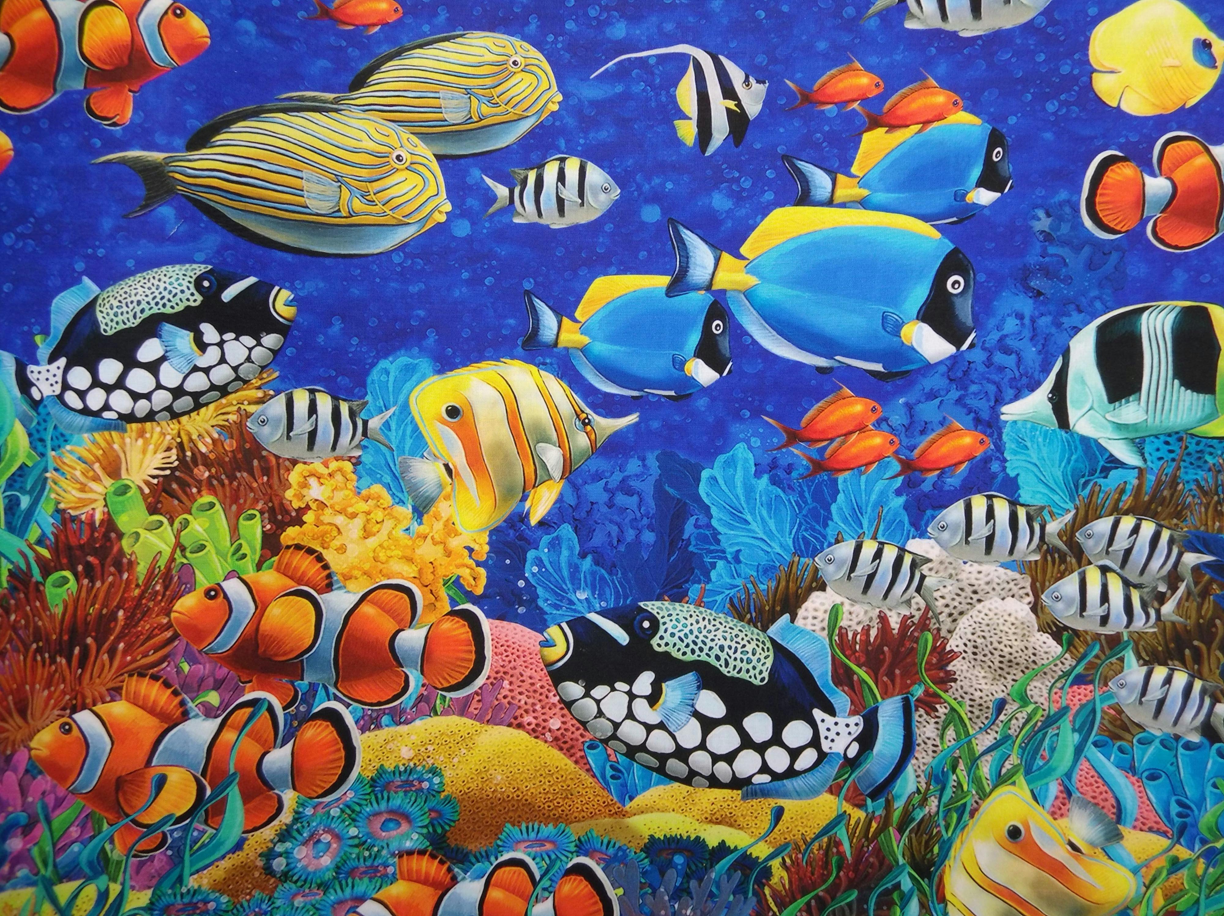 Coral Reef by Northcott