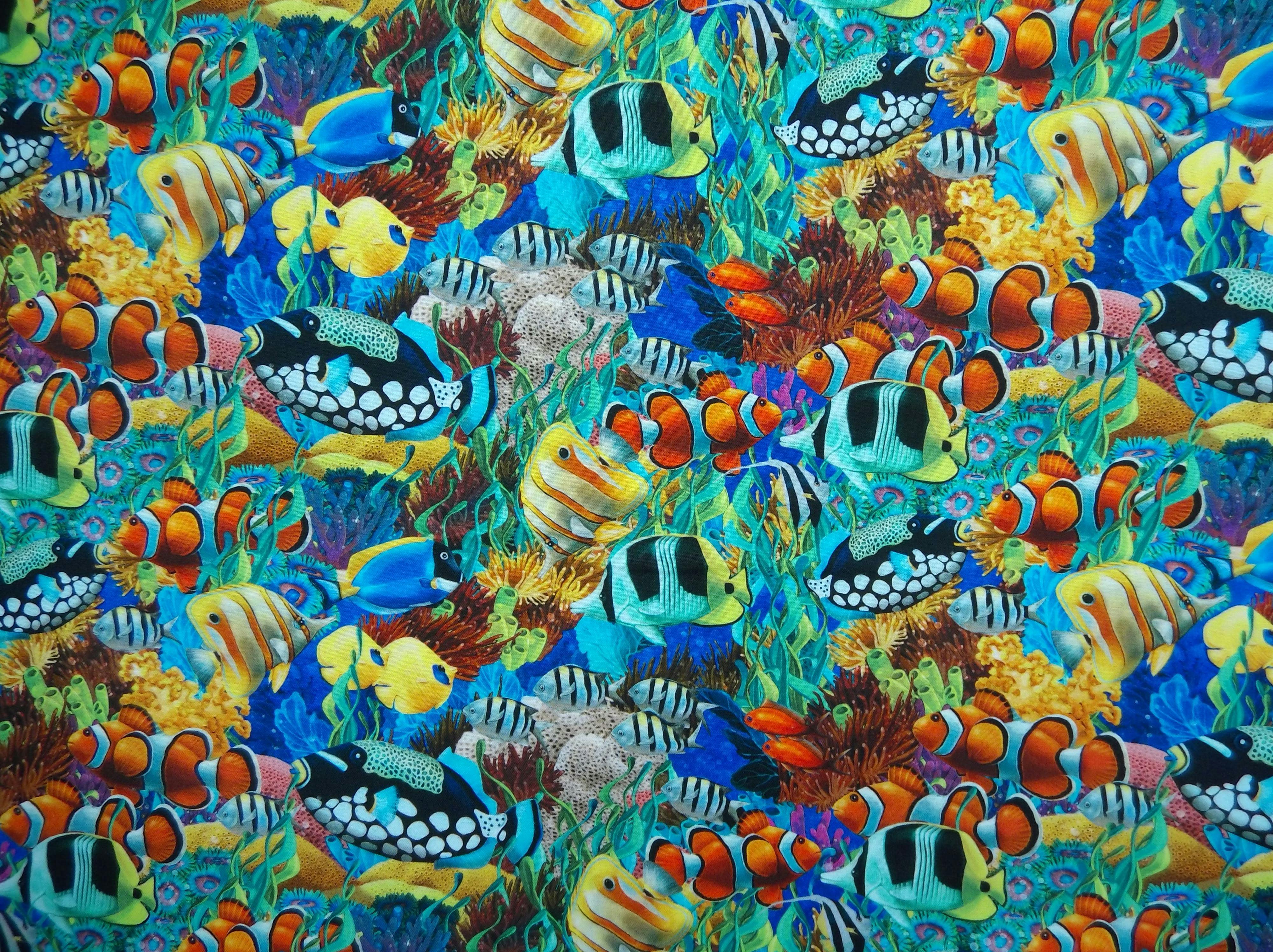 Coral Reef by Northcott
