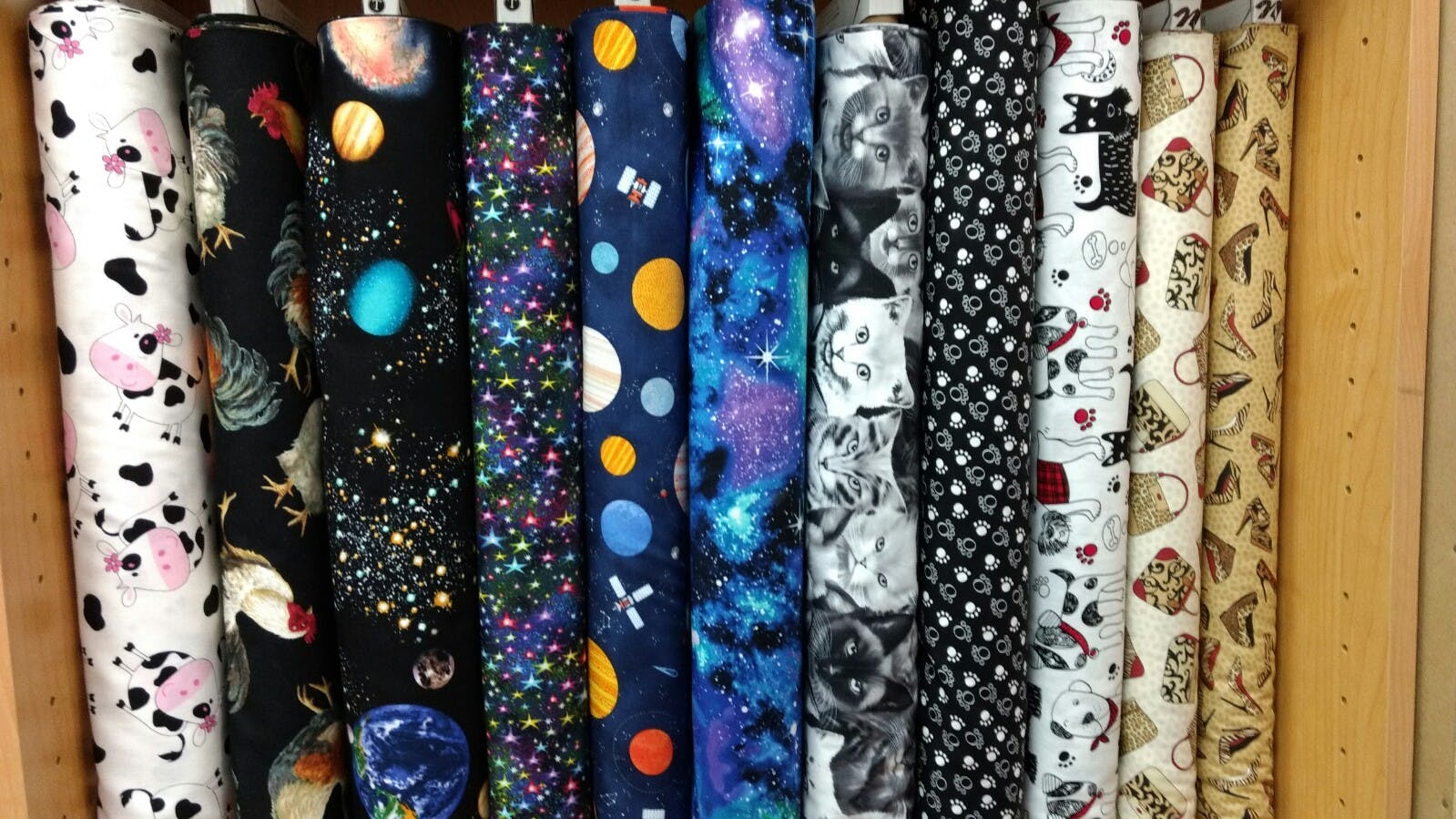 Space by Timeless Treasures and Novelty Animal Fabrics
