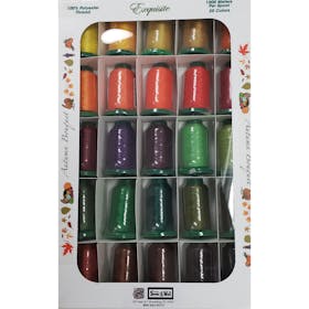 Exquisite Color Play Embroidery Thread Set Kit Madison Collection